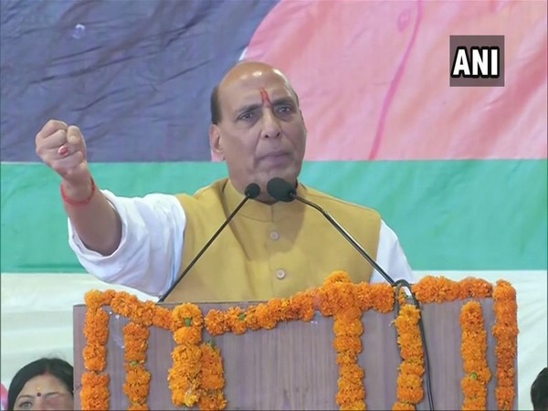 Defence Minister Rajnath Singh (file pic)