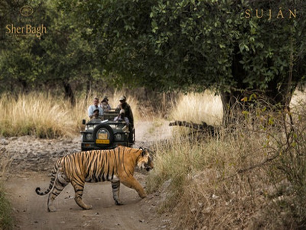 SUJAN Sher Bagh, Ranthambhore 
