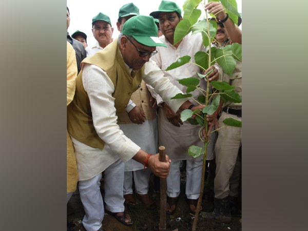Chief Minister Trivendra Singh Rawat planting tree in Mothrowala on Tuesday.