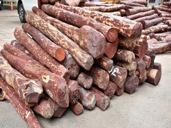 DRI seizes Red Sanders worth Rs 11.70 cr (Photo:PIB)