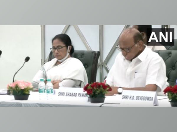 Mamata Banerjee and Sharad Pawar at the Oppostion leaders' meeting.
