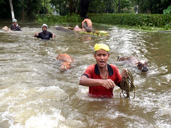 A visual from Assam's flood-hit Nalbari district. (Photo/ANI)