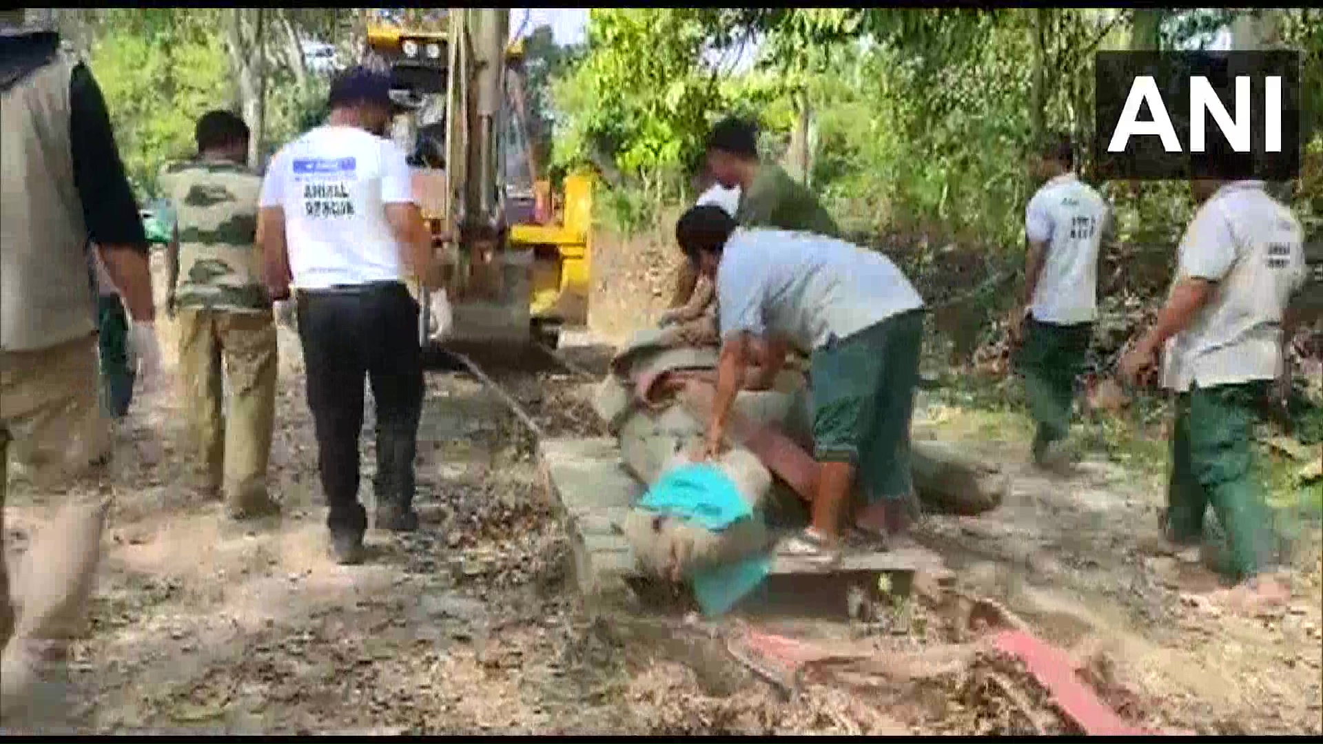 Rhinos being taken to Assam State Zoo (Photo/ANI)