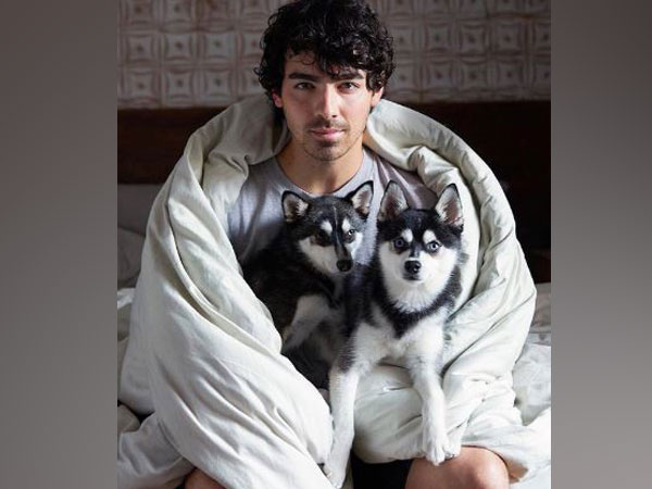 Joe Jonas with his dogs, Picture courtesy: Instagram