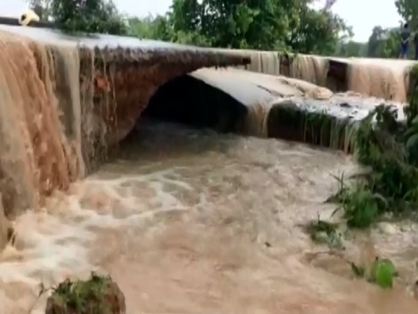 A visual from the flood-affected Nagaon in Assam (File Photo/ANI)