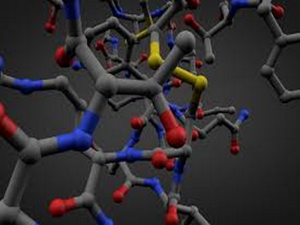 The researchers also tested the polymer against three viruses: an analog virus for rabies, a strain of influenza and a strain of human adenovirus.