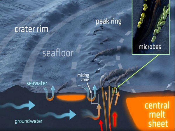 A Three-dimensional cross-section of the hydrothermal system in the Chicxulub impact crater and its seafloor vents. (Image courtesy: Victor O. Leshyk for the Lunar and Planetary Institute)