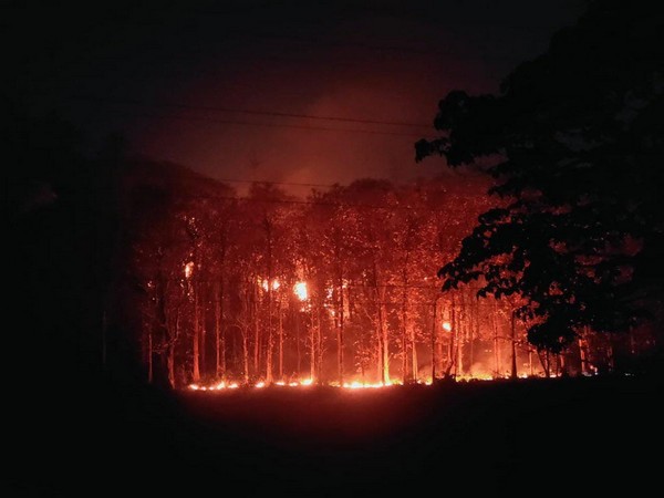 Forest fire breaks out in Assam