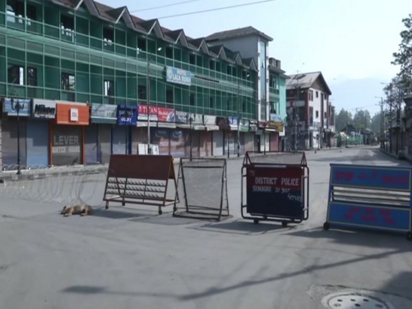 A spot visual from Srinagar. Photo/ANI