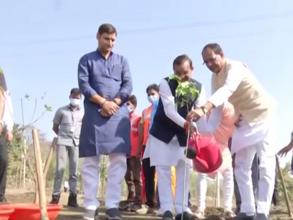 MP chief minister Shivraj Singh Chouhan planting a sapling(ANI)