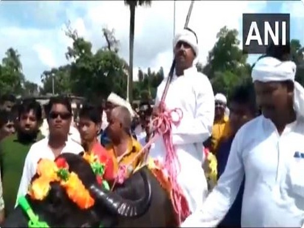 Candidate arriving on his buffalo (Photo/ANI)