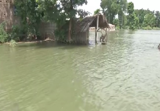 Water logging in Manikauli village of Samastipur district in Bihar on August 4. Photo/ANI