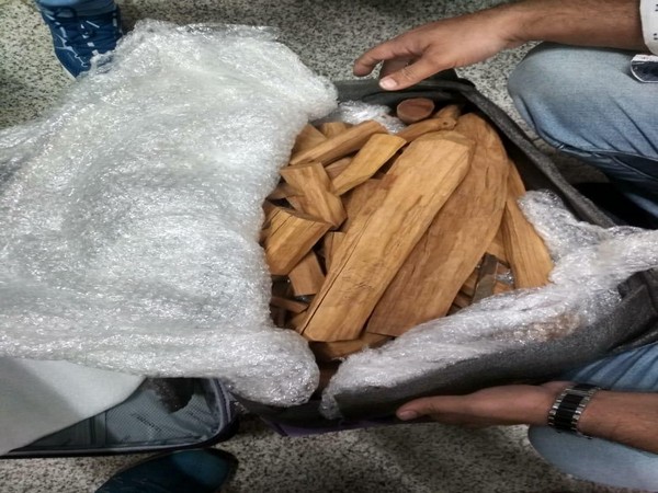 Visuals of the recovered sandalwood.