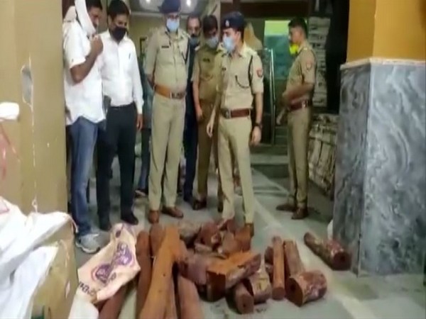 Sandalwood worth approximately Rs 50 crores seized by police during a raid at a godown in Amroha on Sunday. 