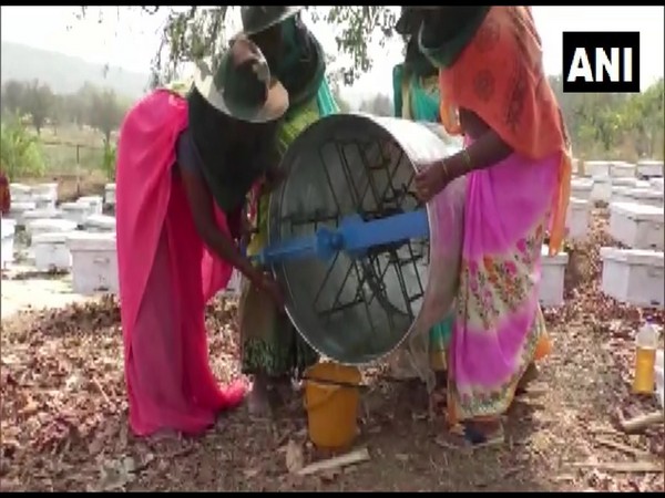 Women practicing beekeeping in Chhattisgarh's Balrampur.