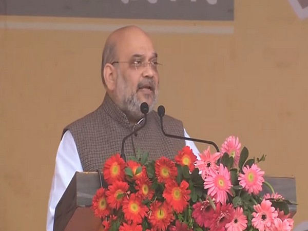 Union Home Minister Amit Shah (Photo/ANI)