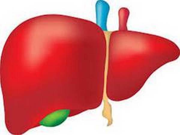 Liver cancer caused by non-alcoholic fatty liver disease, or buildup of fat in the liver, increased by the greatest magnitude in most regions.