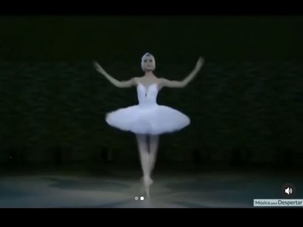 A still from the video (Image courtesy: Instagram)