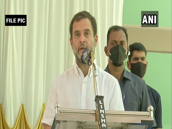 Congress leader Rahul Gandhi (file photo)