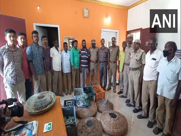 Forest department officials conducted raids in Tamil Nadu's Trichy city to rescue caged birds. (Photo/ANI)