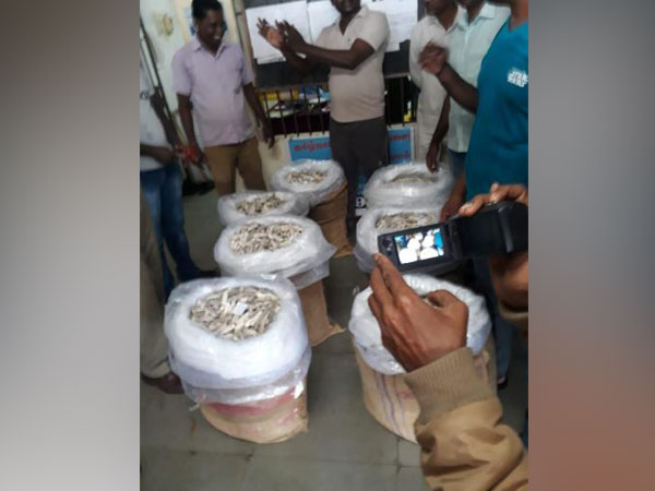 Coastal Security Police Wing of Tamil Nadu seized 350 kg of sea cucumbers and arrested two people. Photo/ANI
