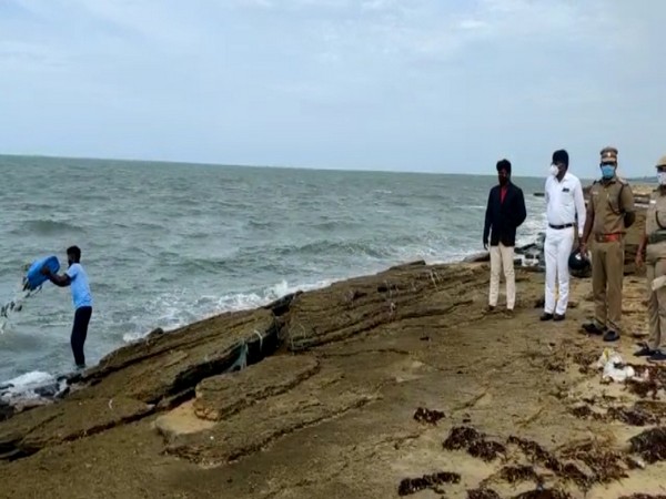 Sea Cucumbers being released in sea at Mandapam in Tamil Nadu
