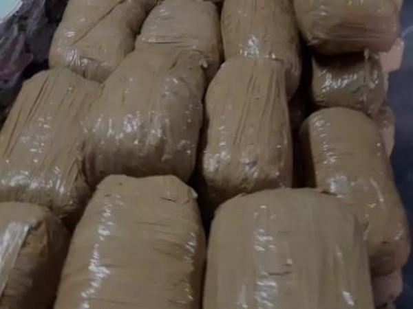 500 kilograms of cannabis worth Rs 50 lakh seized in Andhra Pradesh 