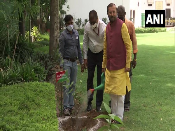 Union Minister of Environment, Forest and Climate Change Prakash Javadekar while planting 'Parijaat' saplings at his residence (Photo/ANI)