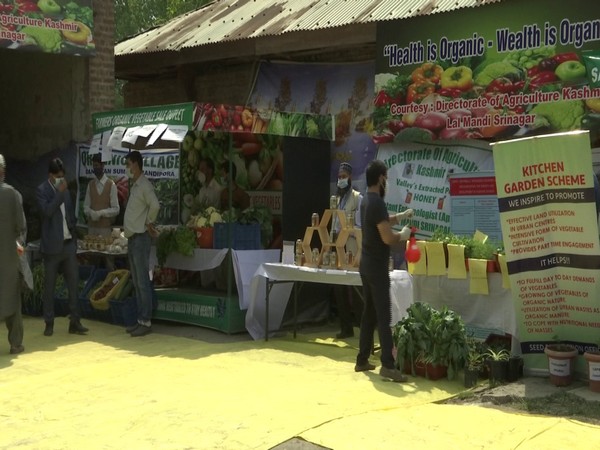 Organic vegetable market in Srinagar (Photo/ANI)