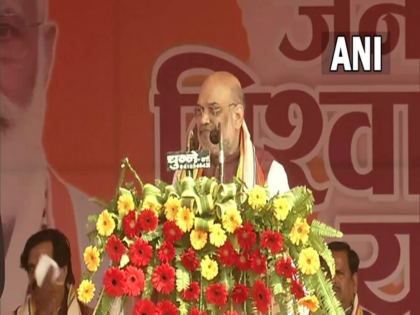 Union Minister Home Amit Shah (Photo/ ANI)