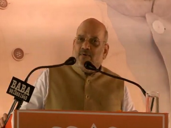 BJP president Amit Shah addressing a rally at Loharu in Haryana on Wednesday. (Photo/ANI)
