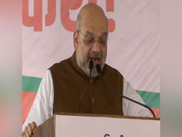 BJP president and Union Home Minister Amit Shah addressing an election rally at Buldhana in Maharashtra on Friday. Photo/ANI