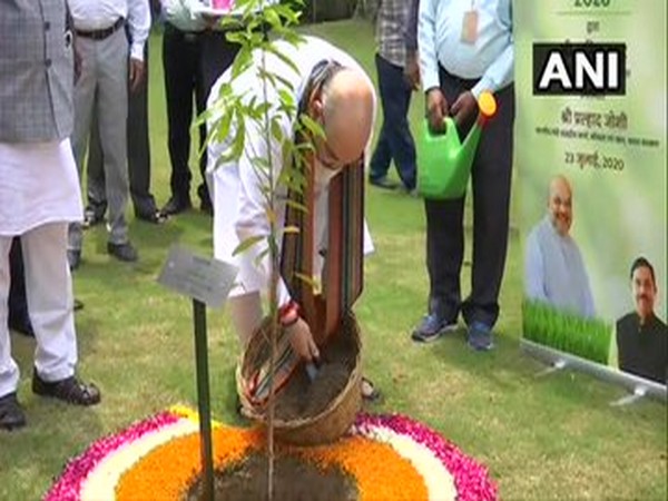 Union Home Minister Amit Shah launched a tree plantation drive, organised by the Union Coal Ministry, in New Delhi on Thursday. [Photo/ANI]