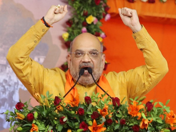 Union Home Minister Amit Shah (File pic)
