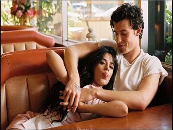 Camila Cabello and Shawn Mendes (Image courtesy: Instagram)