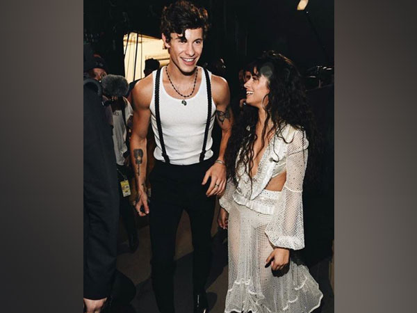 Shawn Mendes and Camila Cabello, Image courtesy: Instagram