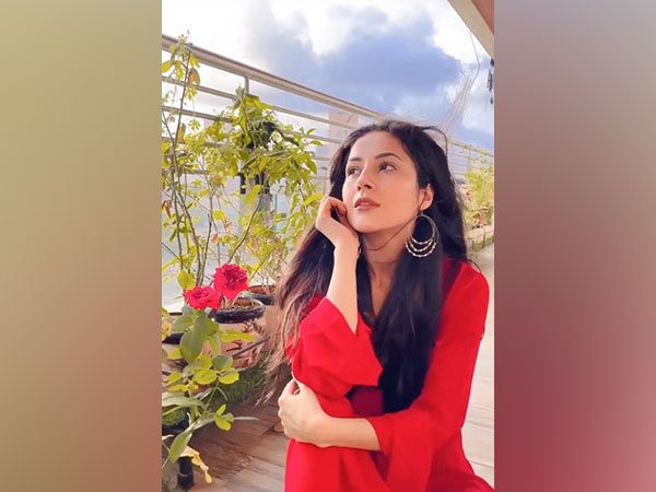 Shehnaaz Gill (Image source: Instagram)