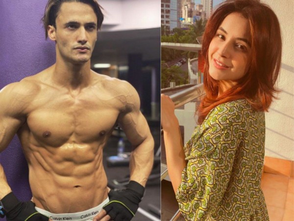 Asim Riaz and Shehnaaz Gill  (Image source: Twitter)