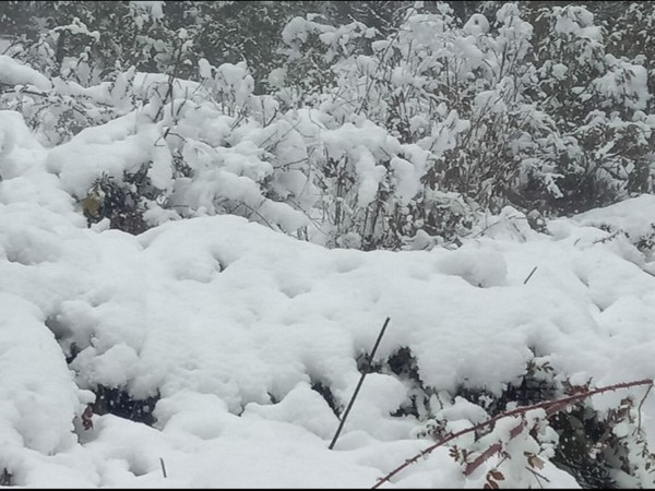 Heavy snowfall in Uttarakhand