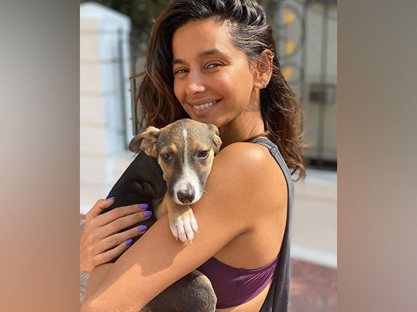 Shibani Dandekar and her dog (Image source: Instagram)
