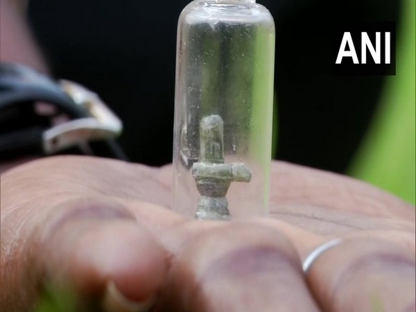 Visual of 'Shiva Linga'