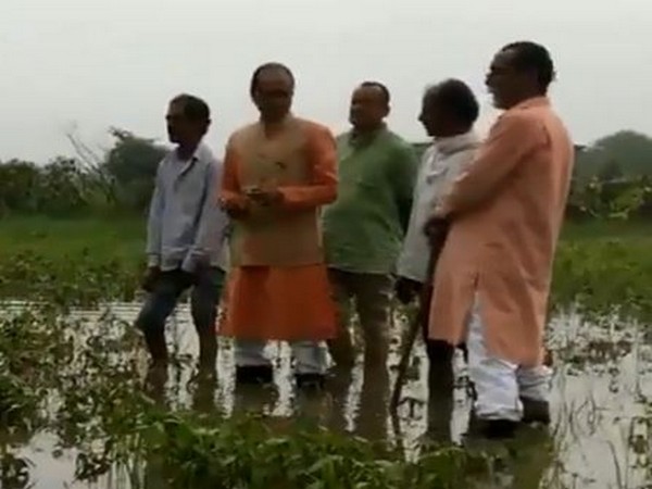 Shivraj posted a video on his Twitter in which he is seen standing in knee-deep water in a crop field on Thursday. Photo/Twitter@ChouhanShivraj