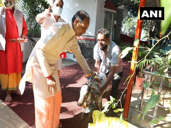 CM Shivaraj Singh Chouhan praying on the occasion of Gopashtmi at his residence