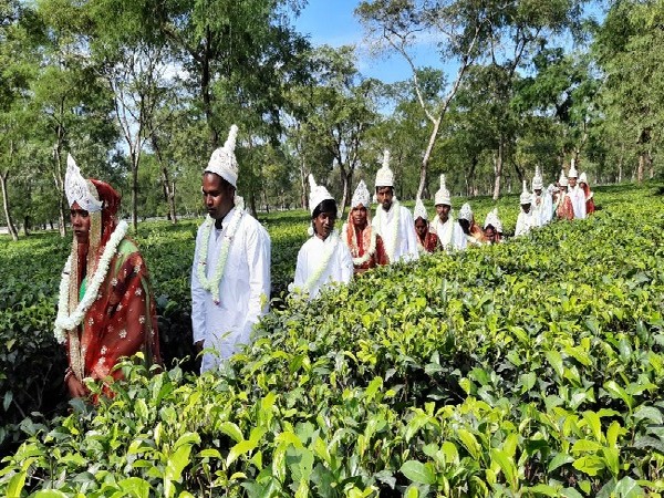 The married couples at a tea garden in Siliguri, West Bengal.  