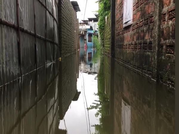  Water-logging hits normal life in Silliguri. Photo/ANI