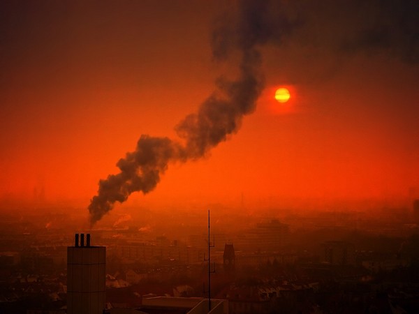 Air pollution is detrimental