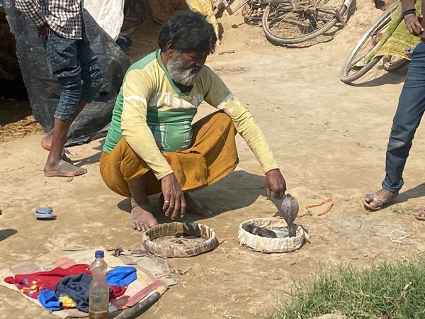 Snake charmer in Sirsela village of Firozabad. (ANI/photo)