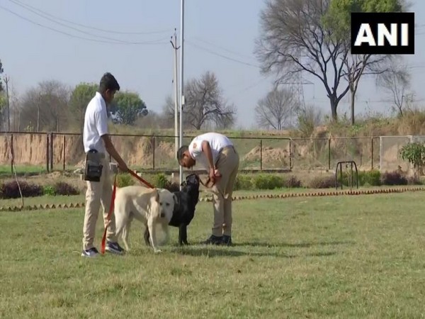 Snnifer dogs recover narcotics in Jammu and Kashmir. Photo/ANI