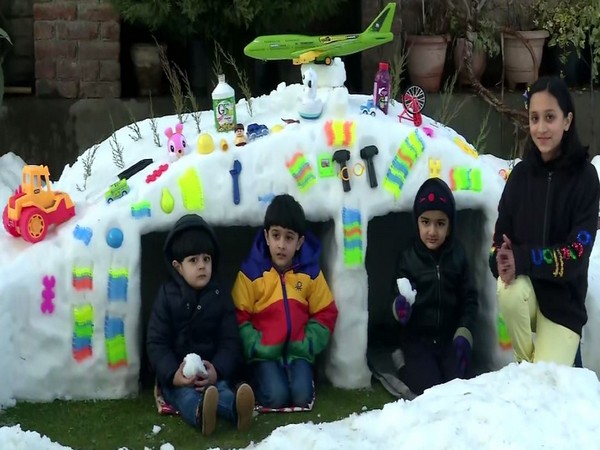 Artists craft out shelters and cars from snow in Srinagar