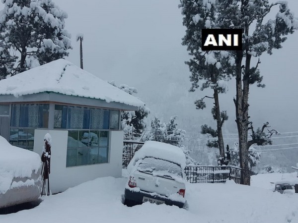 Himachal Pradesh: Reckong Peo in Kinnaur district receives snowfall [Photo/ANI]